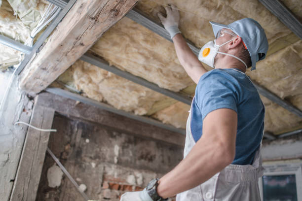 Garage Insulation Installation in Silver Hill, MD